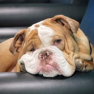 Meet your Posher, Jamie